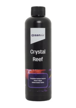Two Corals Aquatics