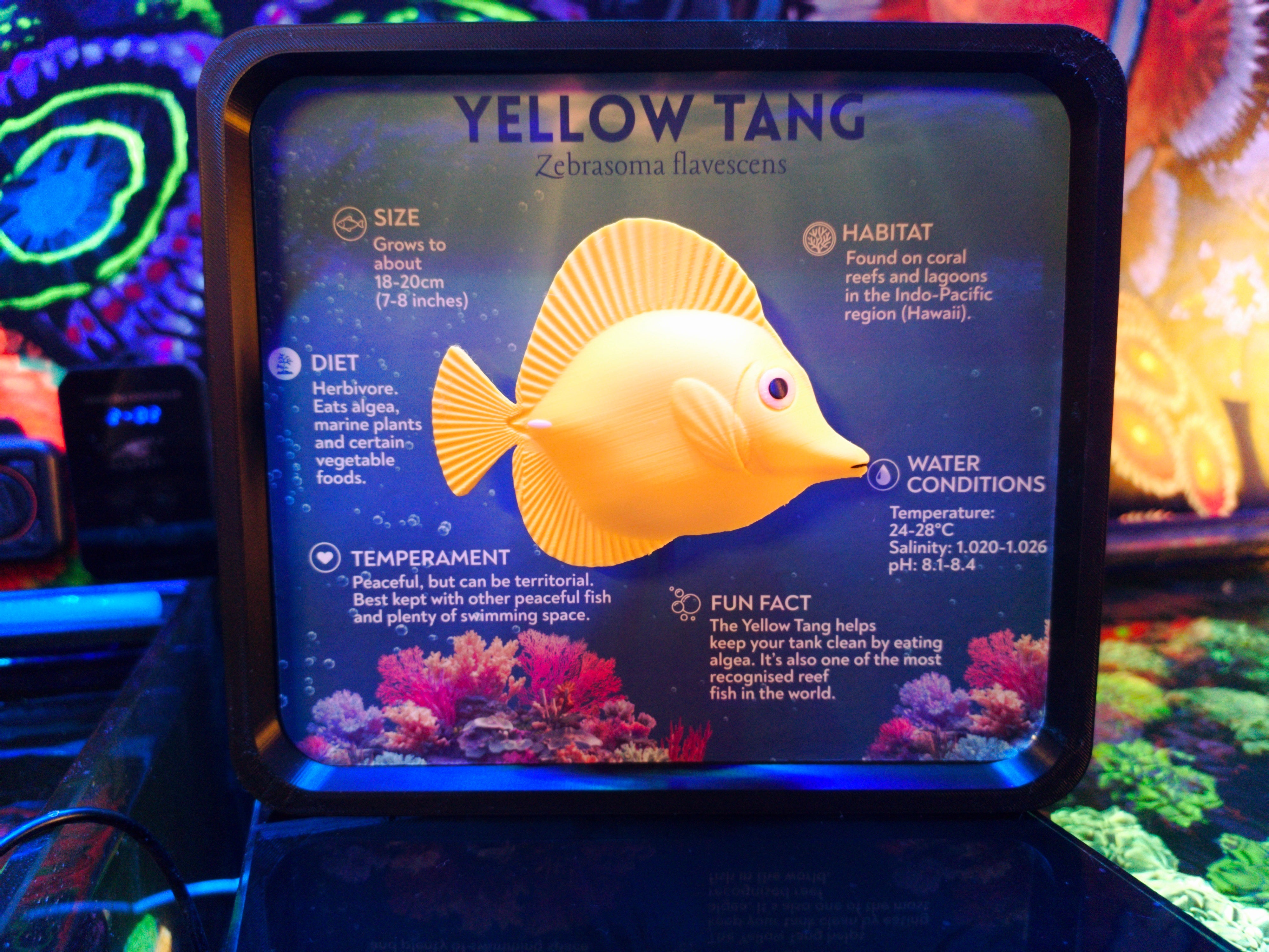 Two Corals Aquatics