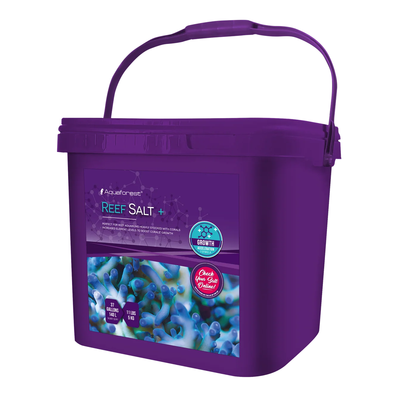 Two Corals Aquatics